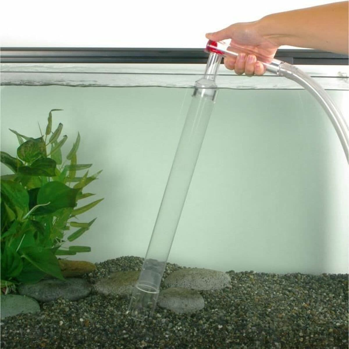 Automatic Pool Cleaners Fluval - Image 2