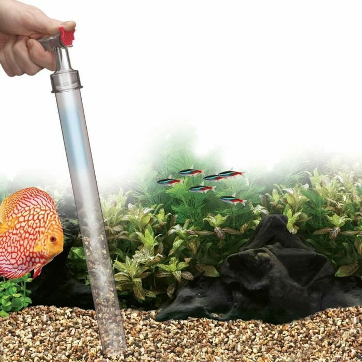 Automatic Pool Cleaners Fluval - Image 3