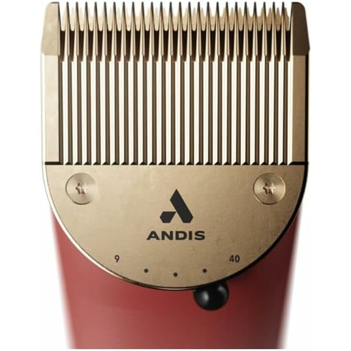 Rakblad Andis Gold - Image 5