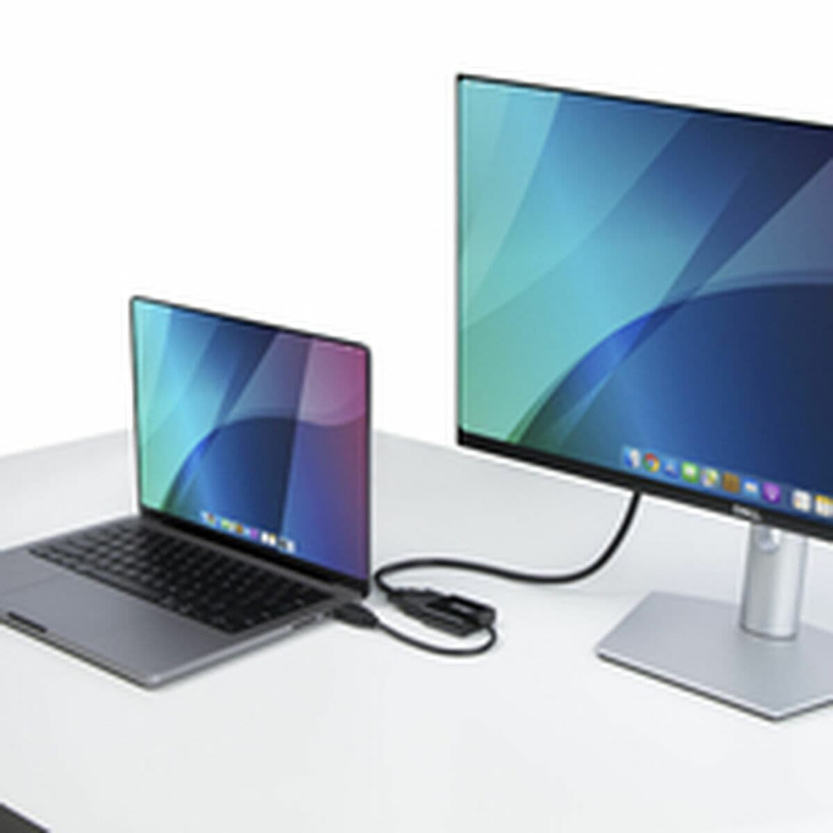 Cable VGA Startech HD2VGAE3 - Image 14