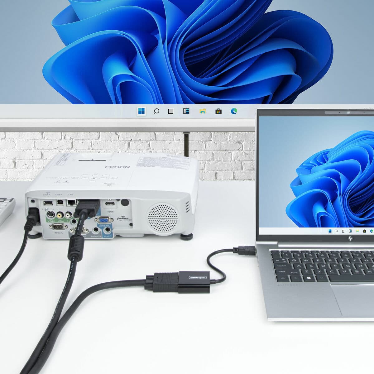 Cable VGA Startech HD2VGAE3 - Image 17