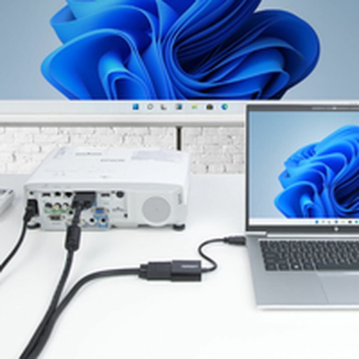 Cable VGA Startech HD2VGAE3 - Image 18