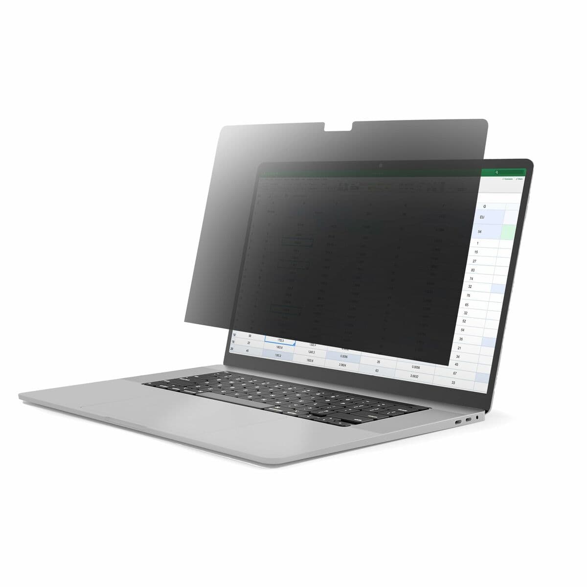 Câble HDMI Startech 14LT6-PRIVACY-SCREEN Noir - Image 5