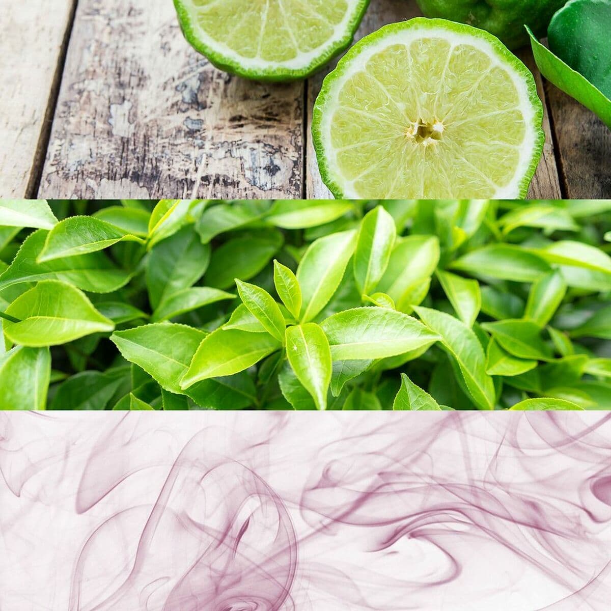 Unisex-Parfüm Calvin Klein PZF40450 EDT 50 ml - Image 5