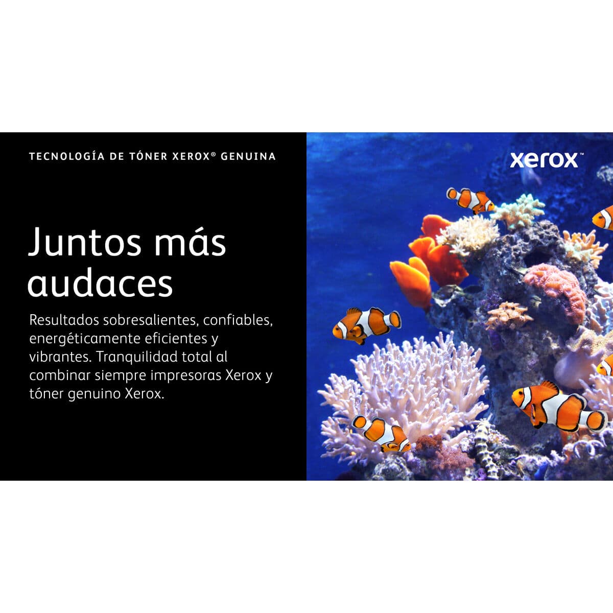 Original Toner Xerox 006R04624 Schwarz - Image 4