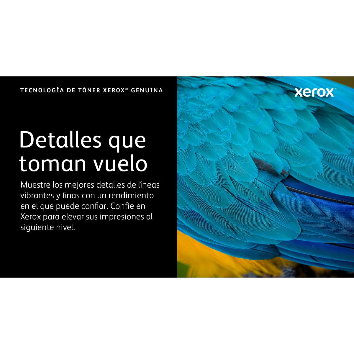 Original Toner Xerox 006R04624 Schwarz - Image 5