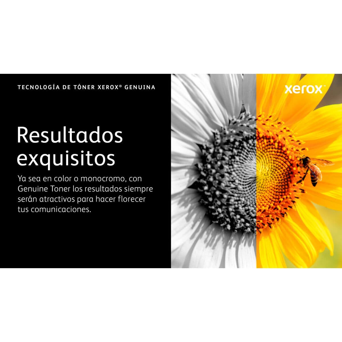 Original Toner Xerox 006R04624 Schwarz - Image 9