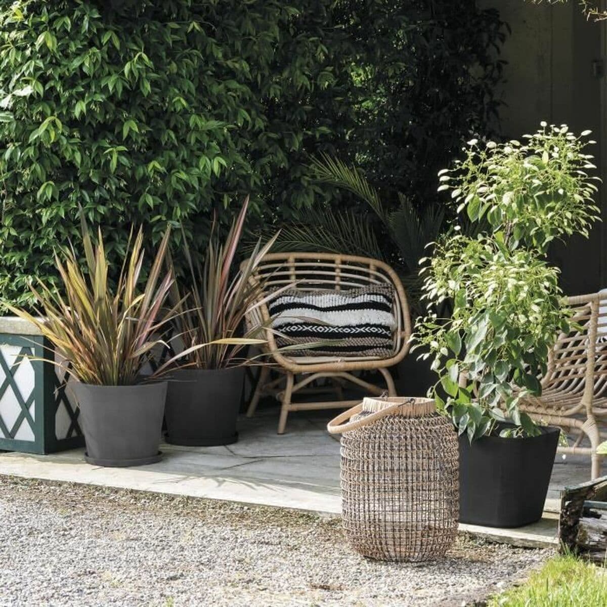 Taimepott Deroma - Image 3