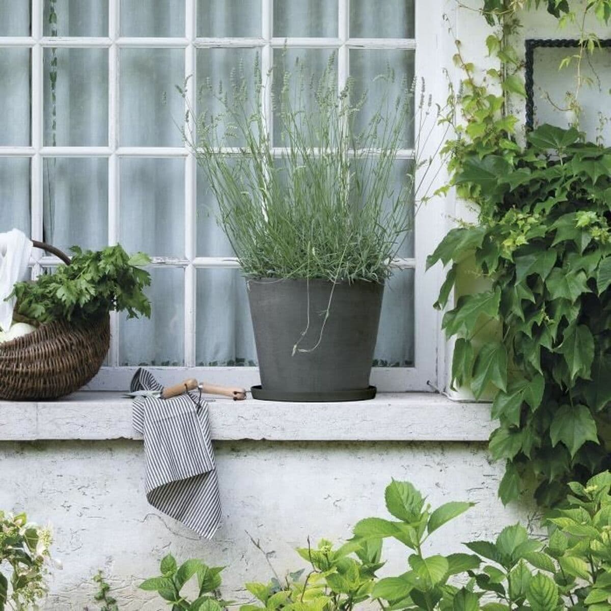 Plato para Maceta Deroma - Image 2