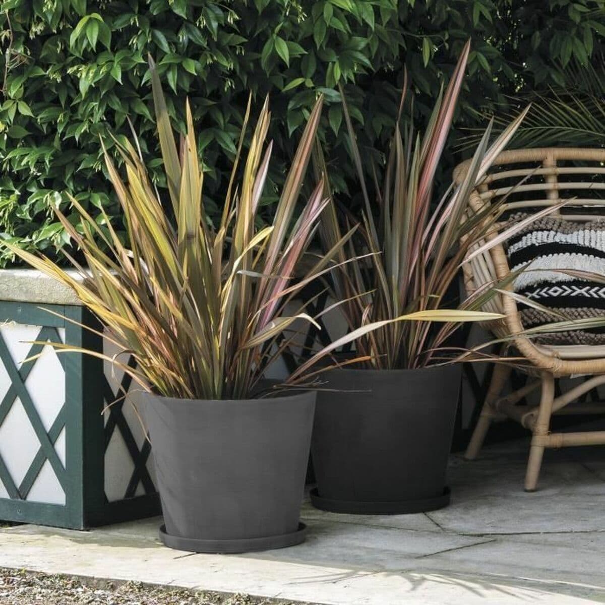 Plato para Maceta Deroma - Image 3