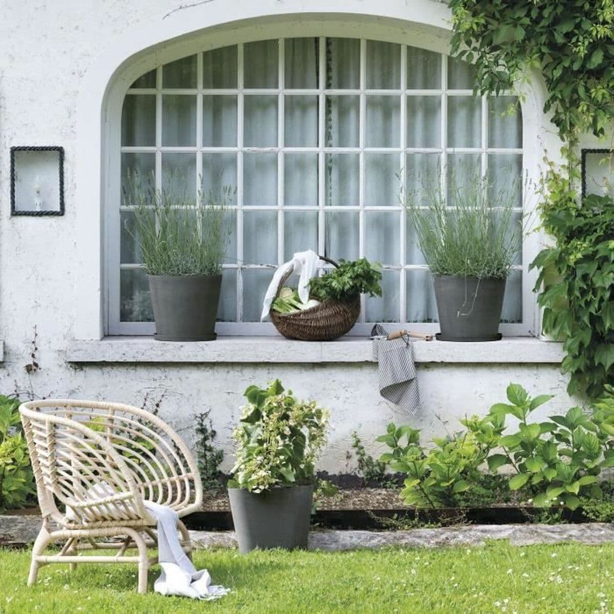 Plato para Maceta Deroma - Image 3