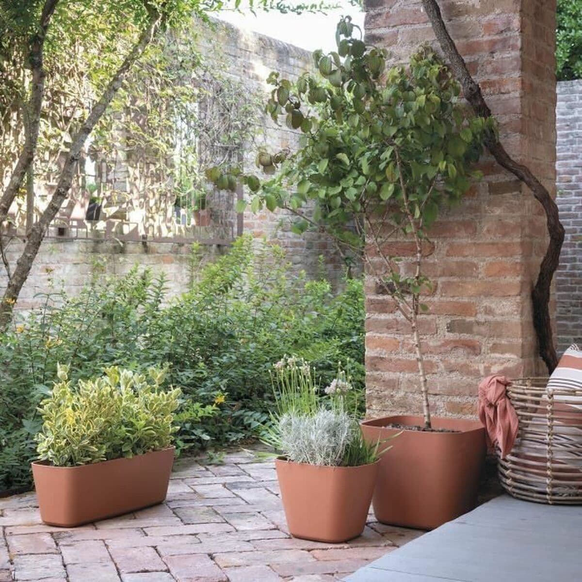 Taimepott Deroma - Image 3