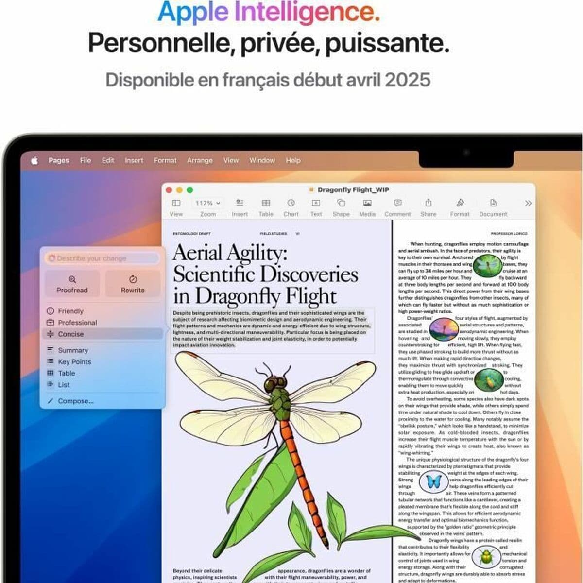 Ordinateur Portable Apple MacBook Air M4 15,3" M4 16 GB RAM 512 GB SSD - Image 9