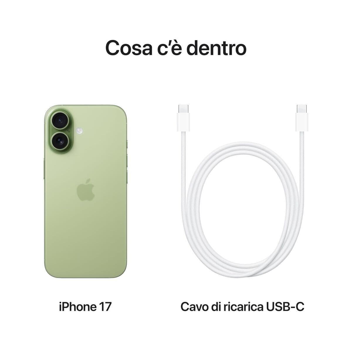 Smartphone Apple iPhone 17 6,3" Hexa Core 8 GB RAM 256 GB Vert - Image 17