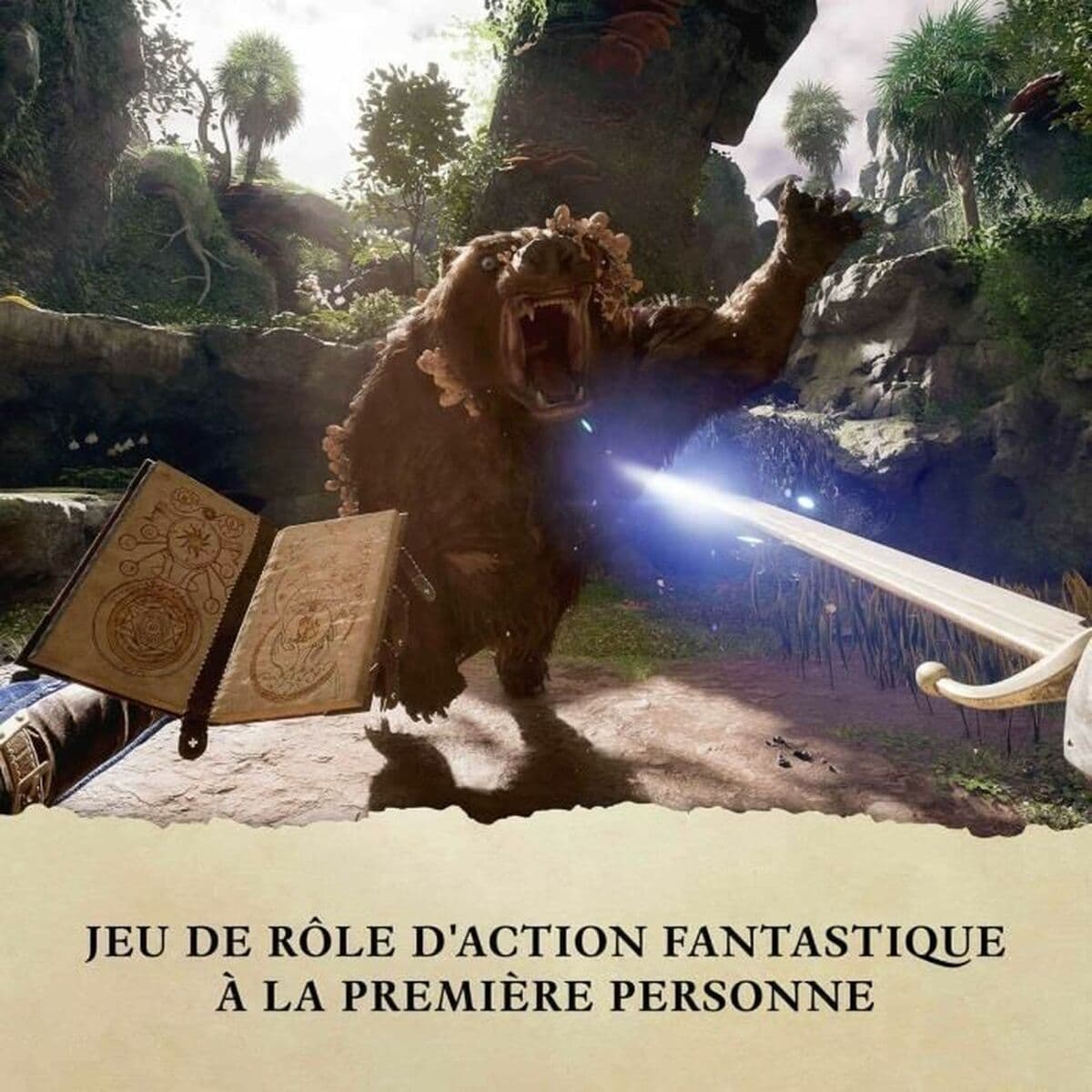 Video igra za Xbox Series X Microsoft Avowed Premium Edition SteelBook - Image 5