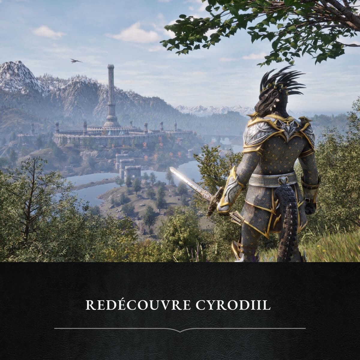 Xbox One vaizdo žaidimas Microsoft Elder Scrolls IV Oblivion - Image 12