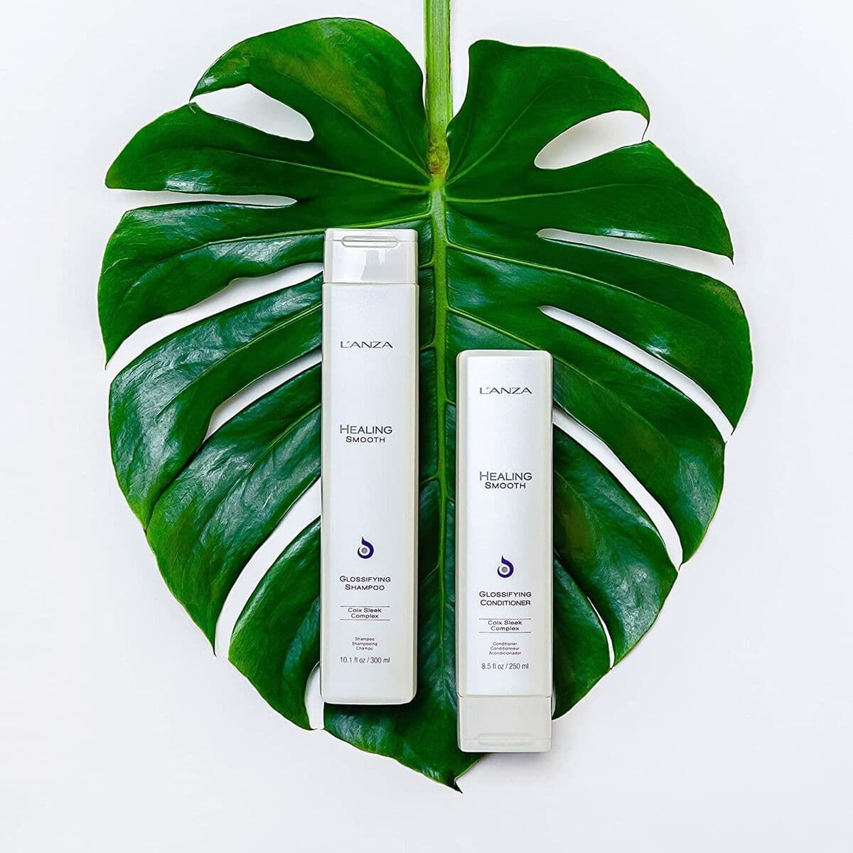 Champú Hidratante L'ANZA Healing Moisture 300 ml Cabello seco - Image 4