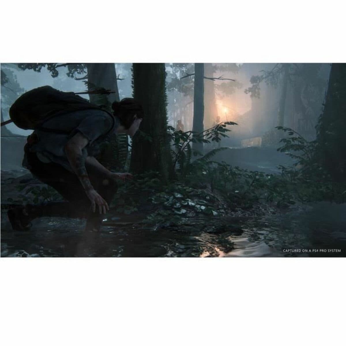 PlayStation 4 vaizdo žaidimas Naughty Dog The Last of Us: Part 2 - Image 2