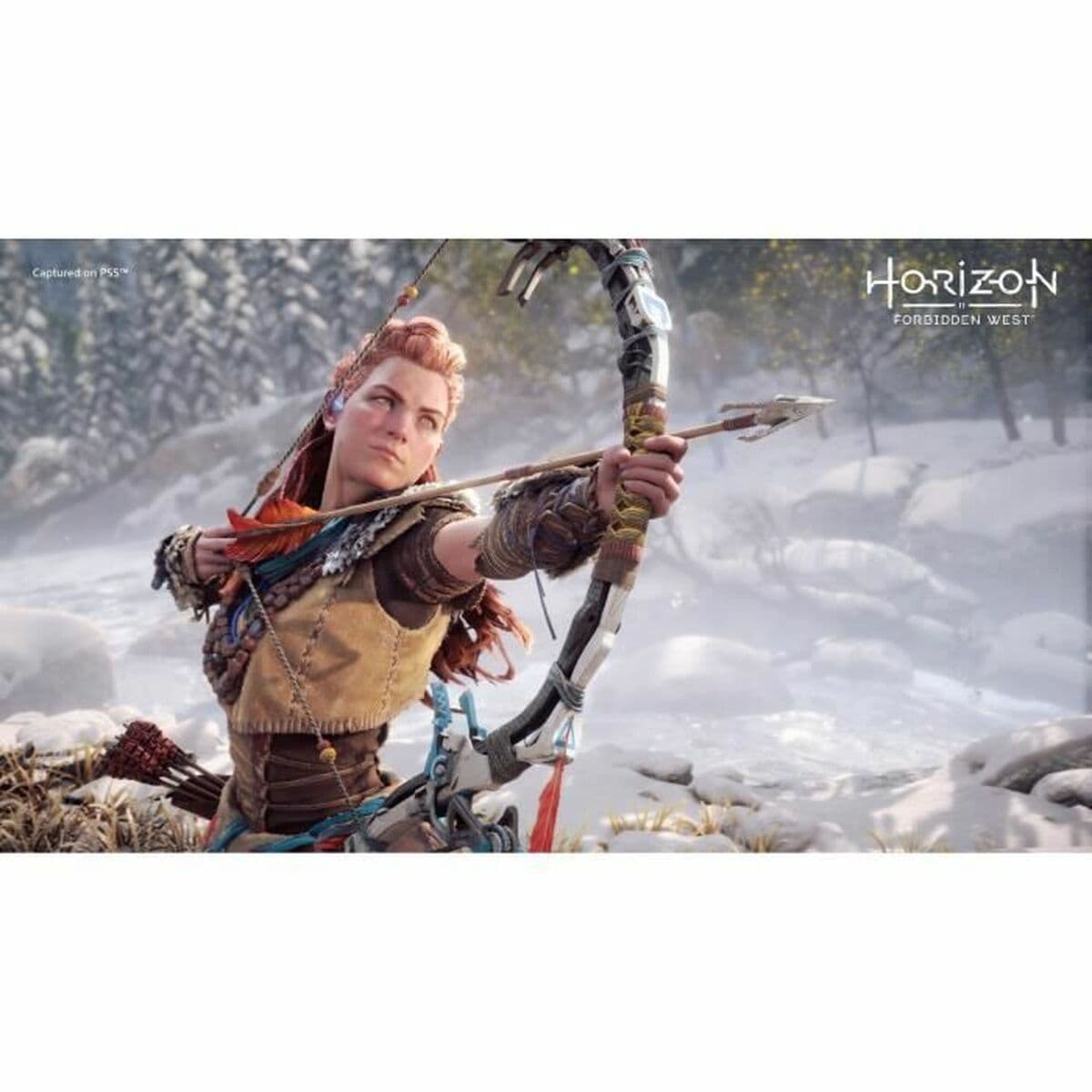 PlayStation 4 vaizdo žaidimas Guerrilla Games Horizon: Forbidden West - Image 3