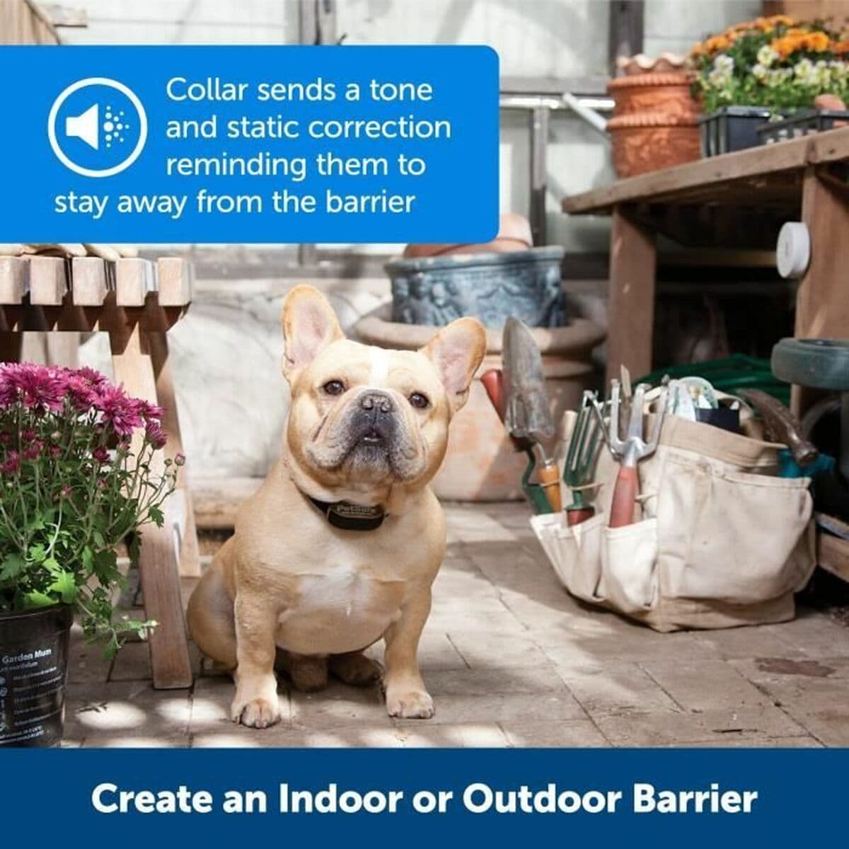 Anti-blafhalsband PetSafe Zwart noir - Image 6