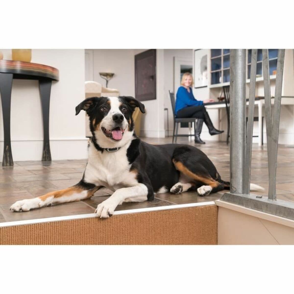 Anti-bark collar PetSafe Blue - Image 2