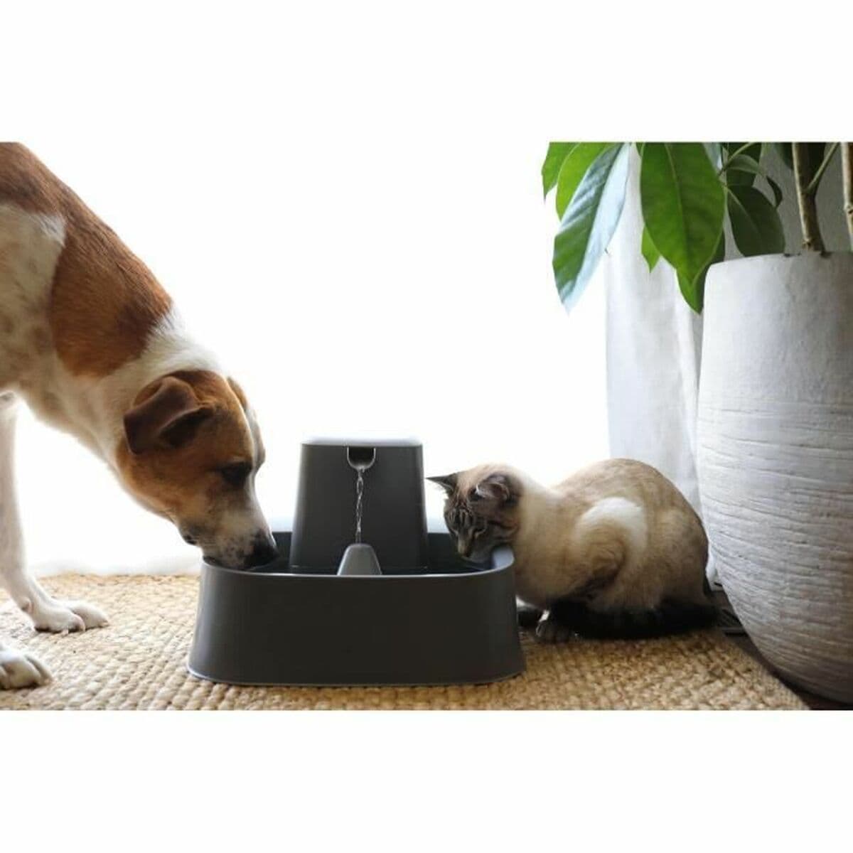 Fonte para Animais de Estimação PetSafe 7,5 L - Image 3