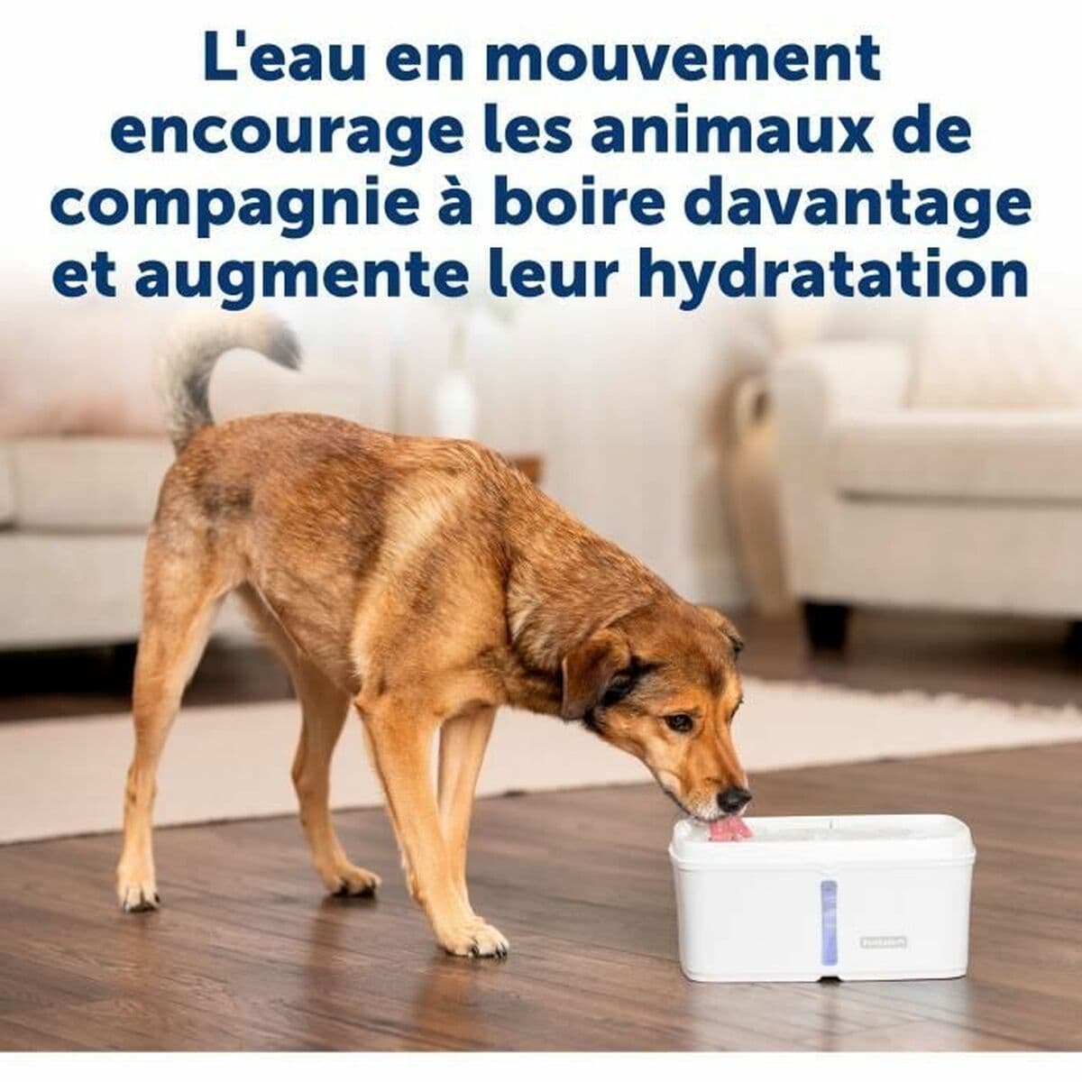 Fonte para Animais de Estimação PetSafe Branco - Image 2