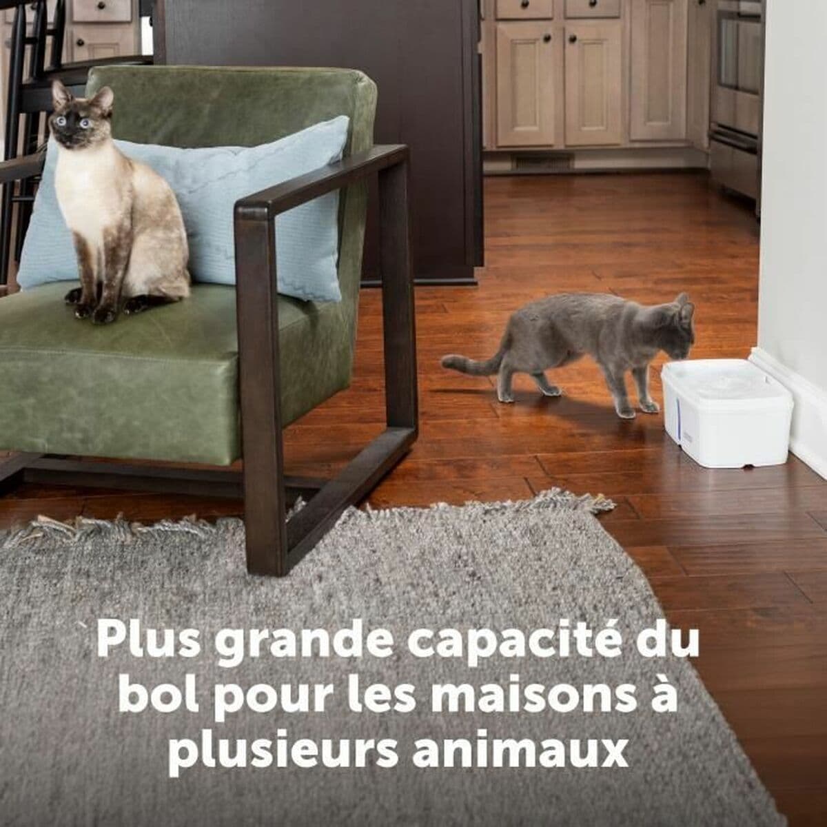 Fonte para Animais de Estimação PetSafe Branco - Image 4