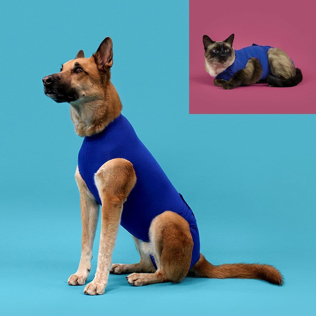 Atjaunojoša veste mājdzīvniekiem KVP 45-53 cm Zils - Image 2