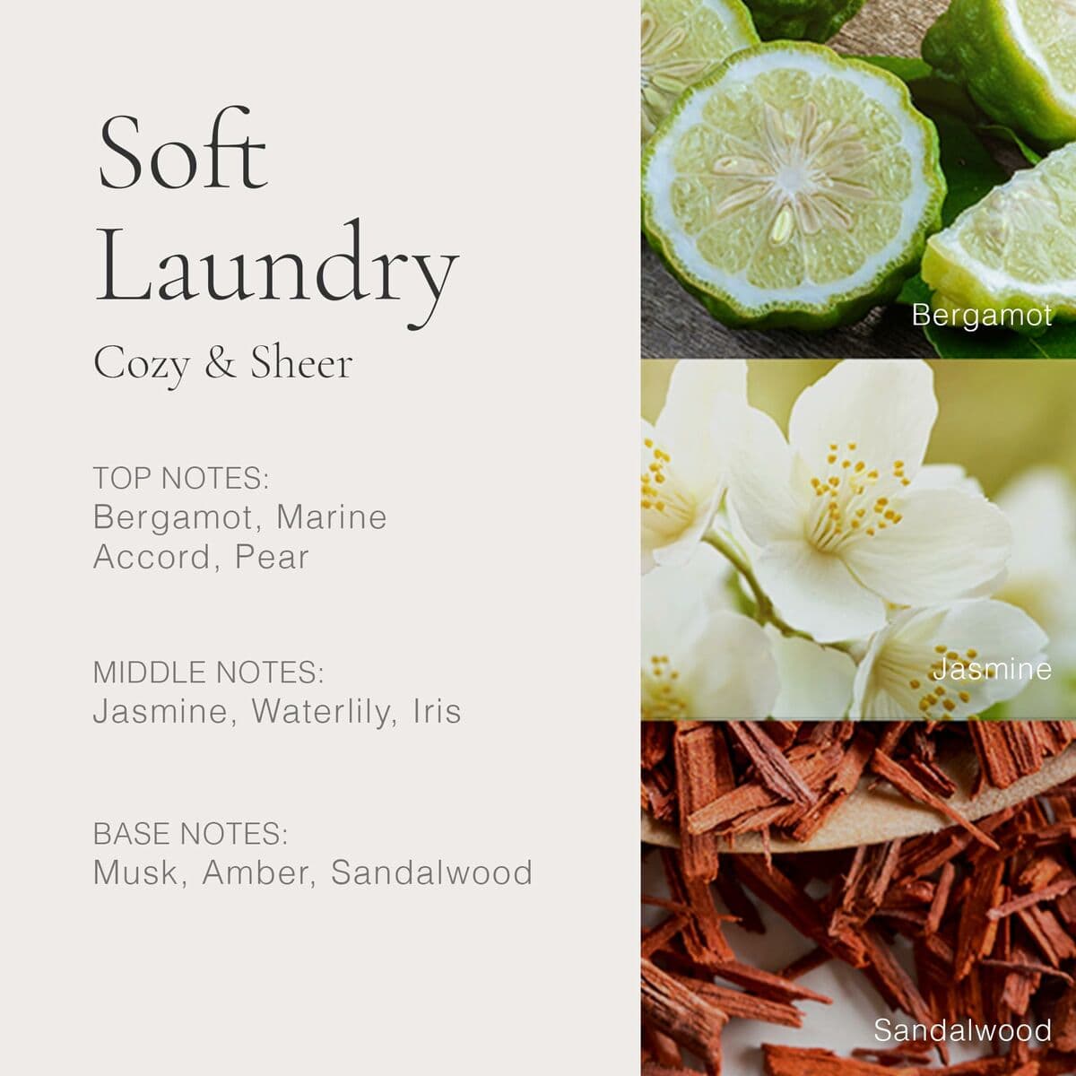 Damenparfüm Clean - Image 4