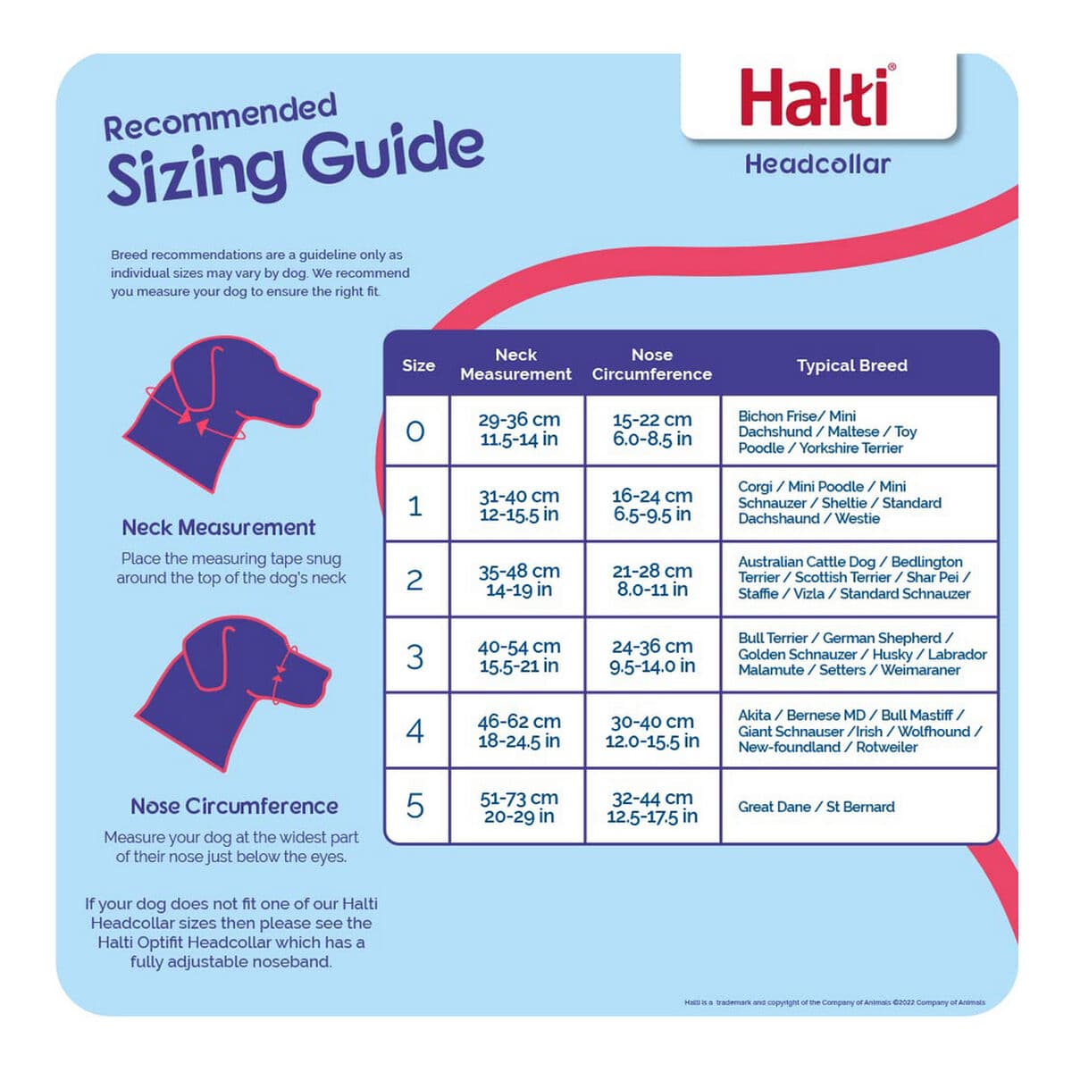 Dog Training Collars Company of Animals Halti Black Muzzle (29-36 cm) - Image 7