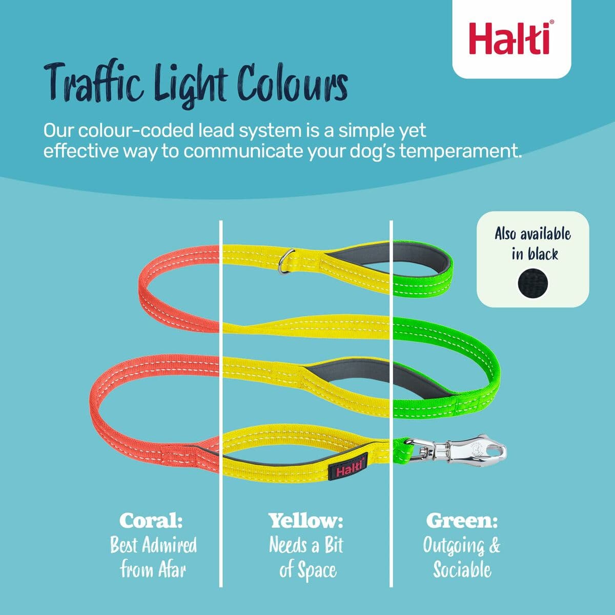 Correa de adiestramiento Company of Animals HALTI BRIG SAFETY Negro - Image 6