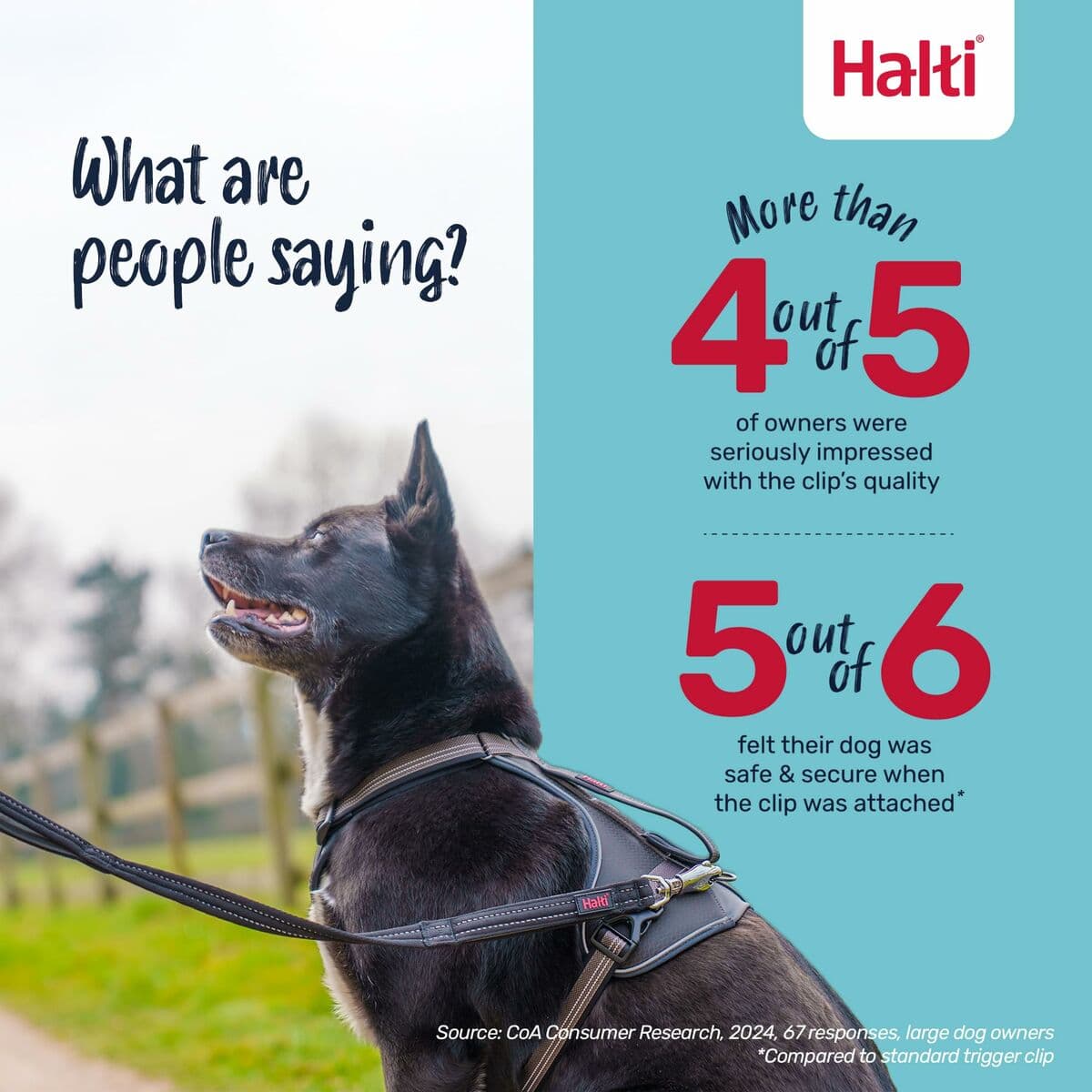 Correa de adiestramiento Company of Animals HALTI BRIG SAFETY Negro - Image 8