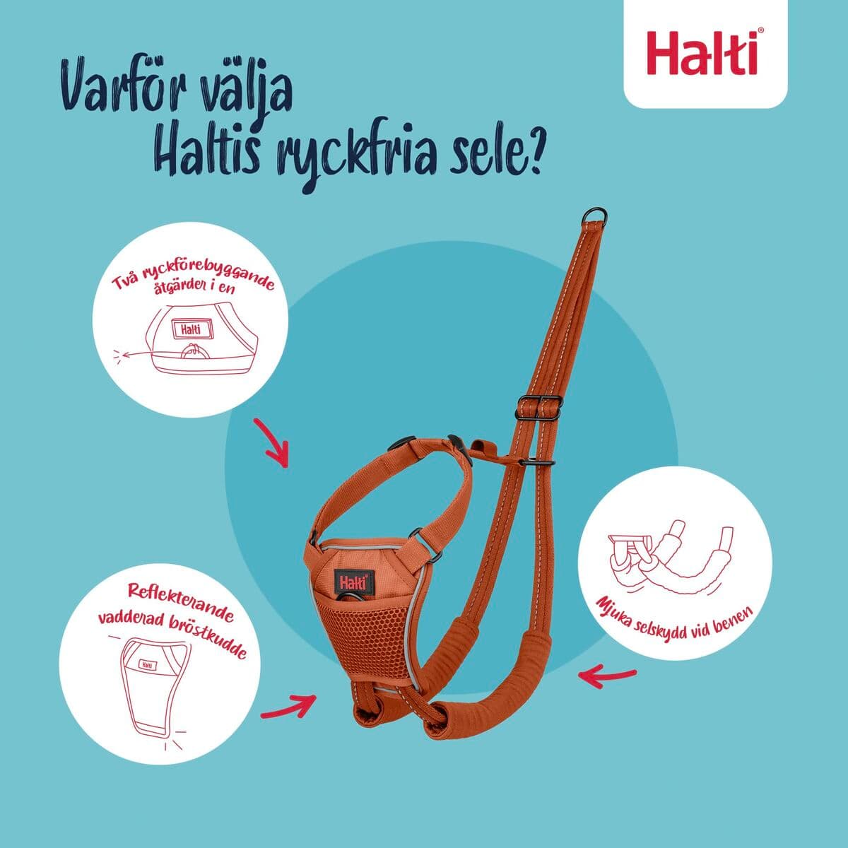 Arnés para Perro Company of Animals BURNT Naranja 12 - Image 9