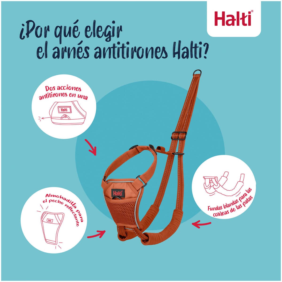 Arnés para Perro Company of Animals BURNT Naranja 12 - Image 7