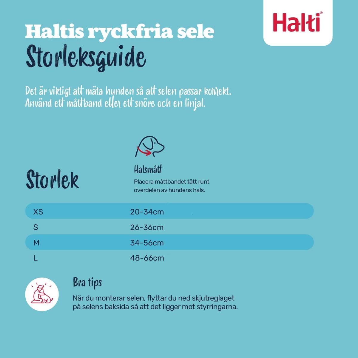 Arnés para Perro Company of Animals BURNT Naranja L - Image 11