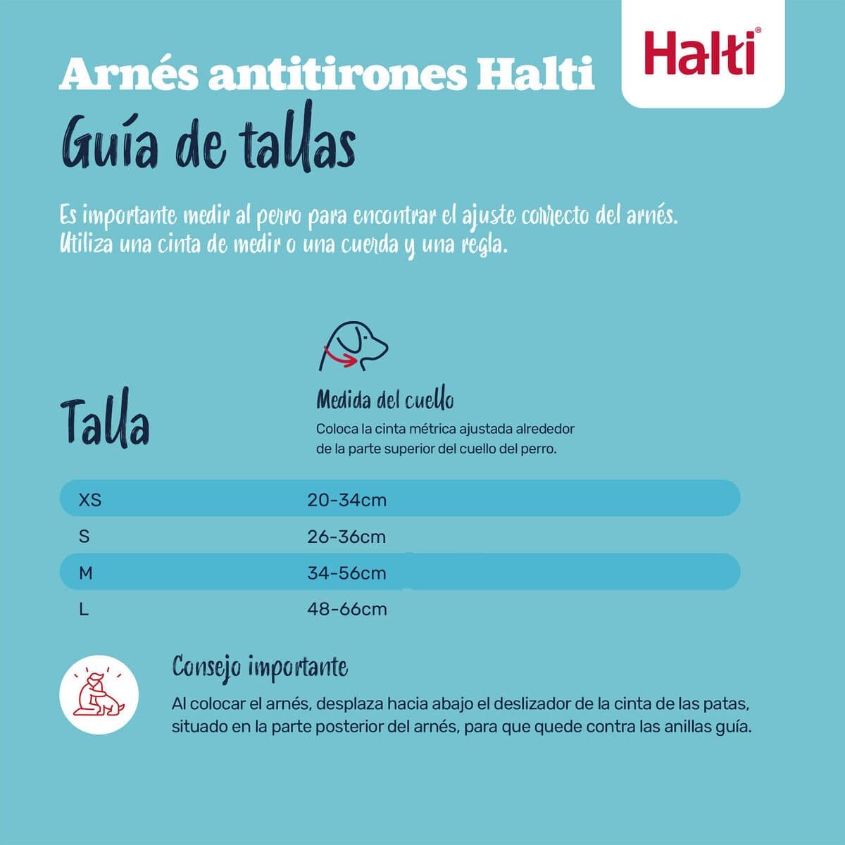 Arnés para Perro Company of Animals BURNT Naranja L - Image 4