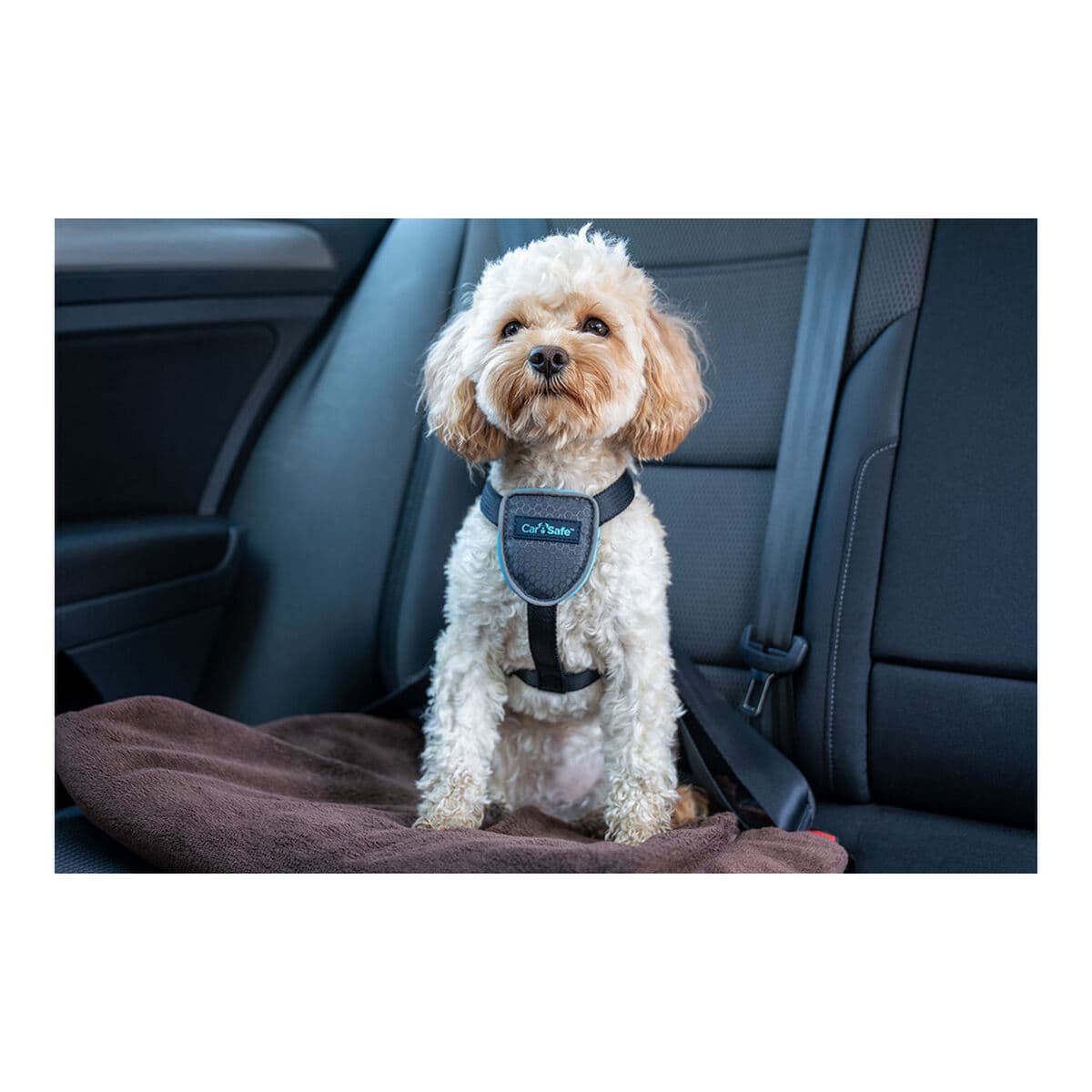 Hundsele Company of Animals CarSafe Svart L - Image 4