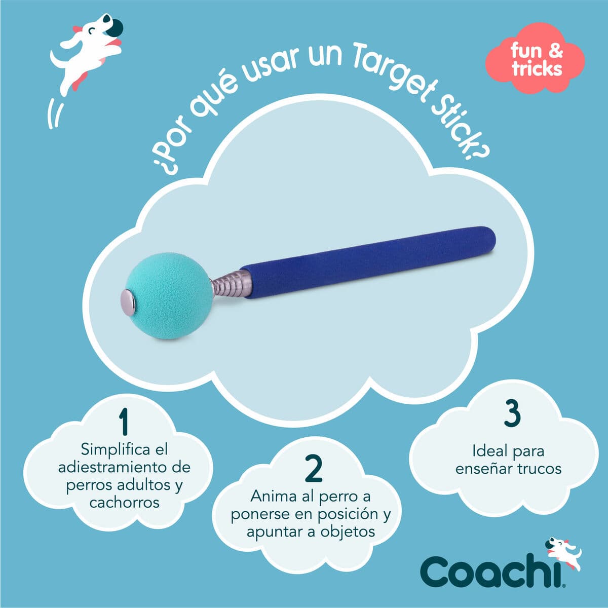 Training toy Coachi Stick Sinine - Image 4
