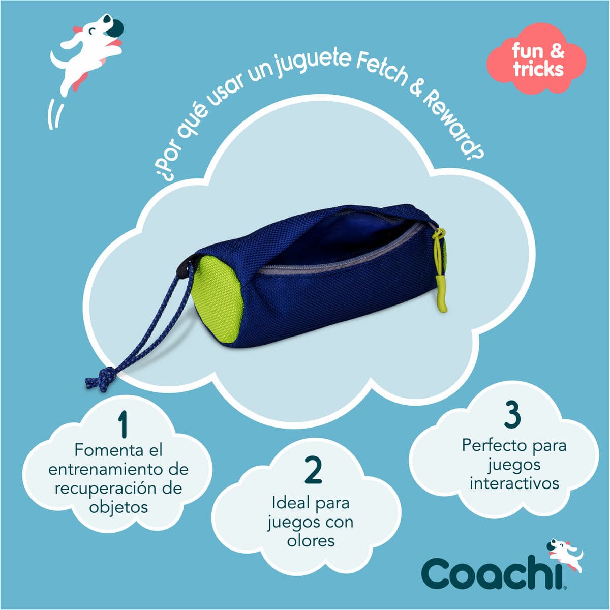 Training toy Coachi Blauw - Image 4