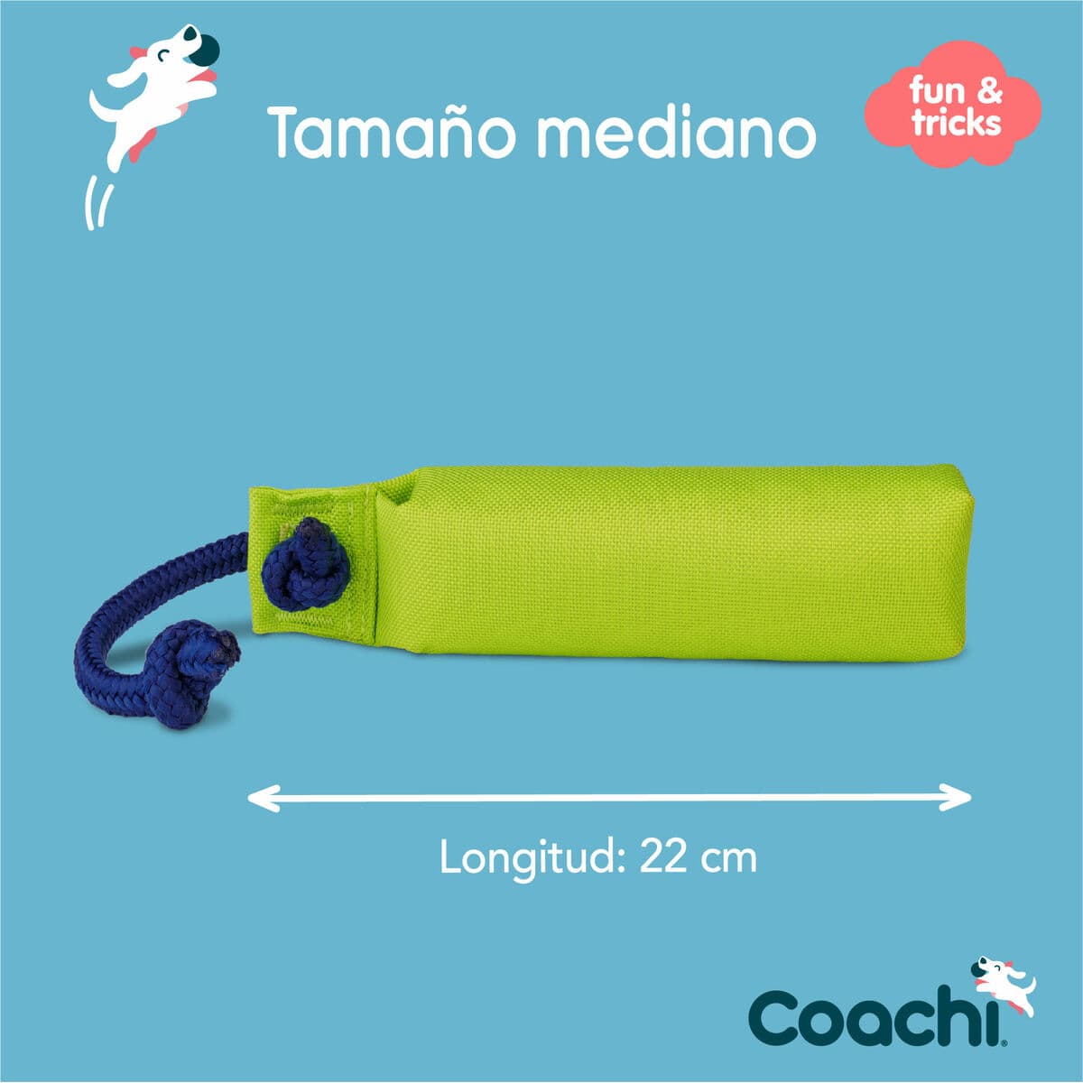 Training toy Coachi - Image 2