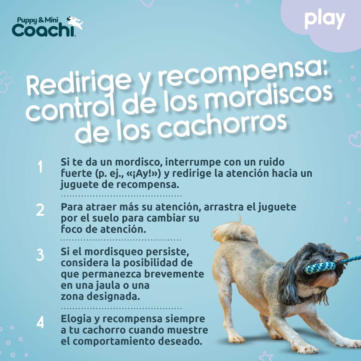 Arnés para Perro Coachi - Image 5