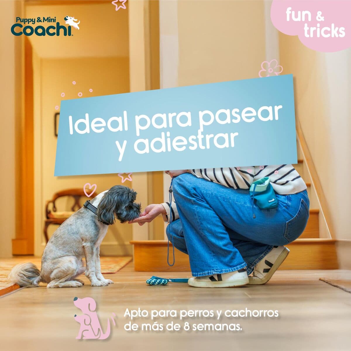 Arnés para Perro Coachi - Image 3