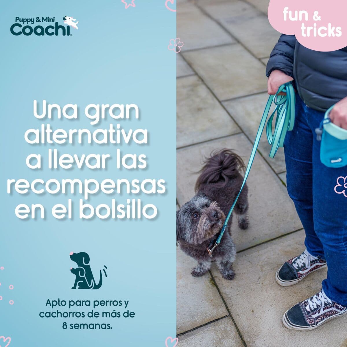 Arnés para Perro Coachi - Image 4