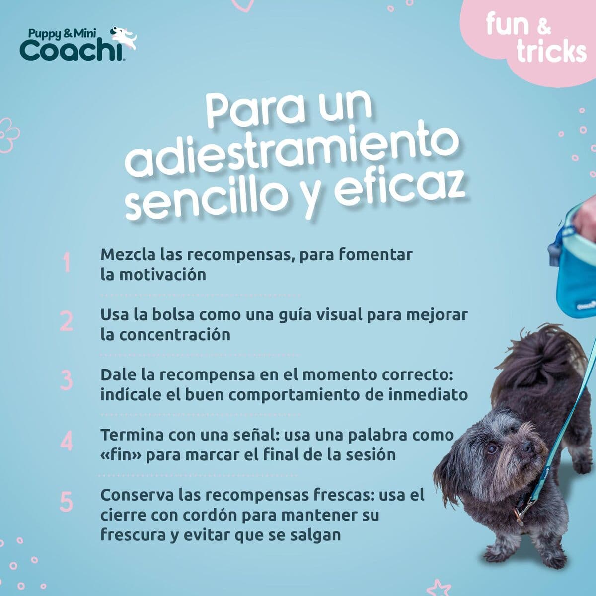 Arnés para Perro Coachi - Image 5