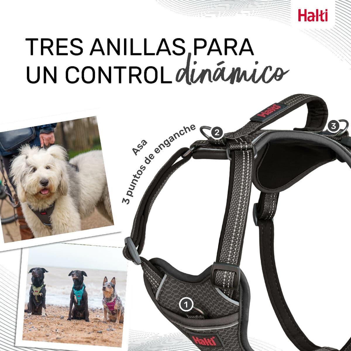 Arnés para Perro Company of Animals Gris L 42-65 cm - Image 3