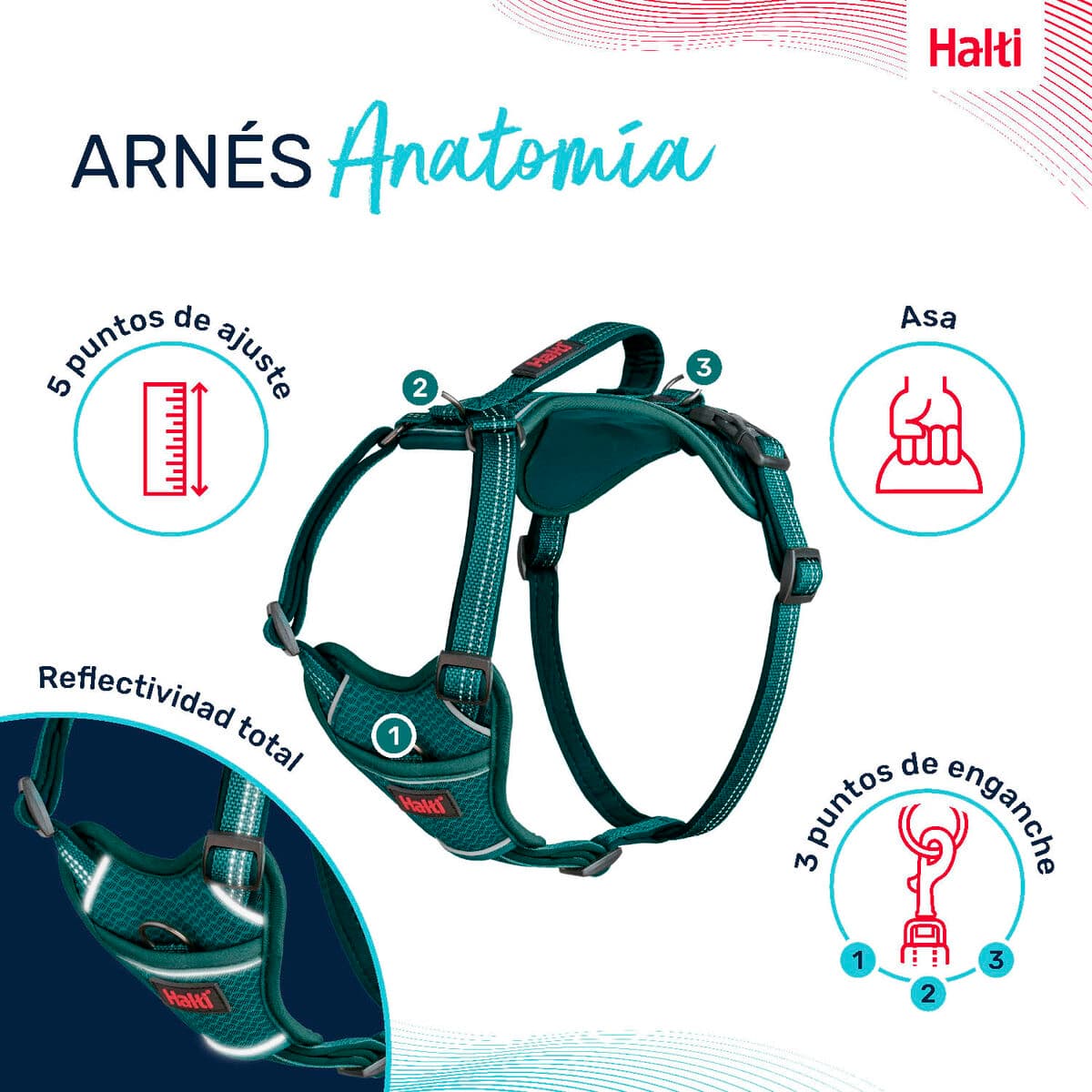 Hundsele Company of Animals Turkos L 42-65 cm - Image 3