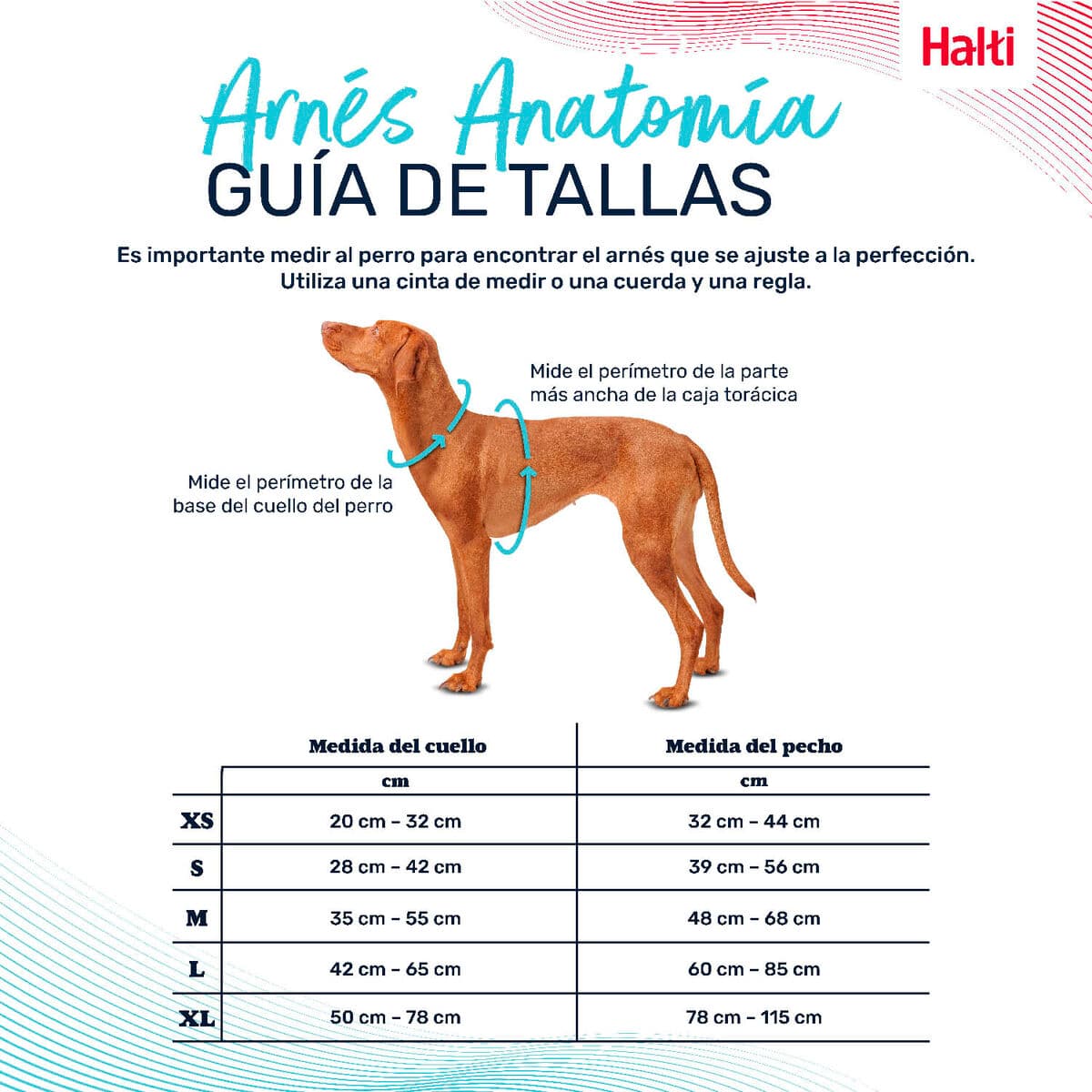 Hundsele Company of Animals Turkos L 42-65 cm - Image 4