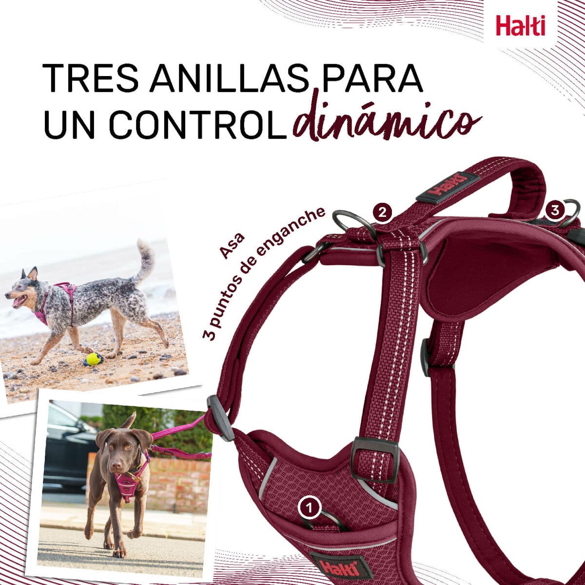 Arnés para Perro Company of Animals Burdeos XL 50-78 cm - Image 3
