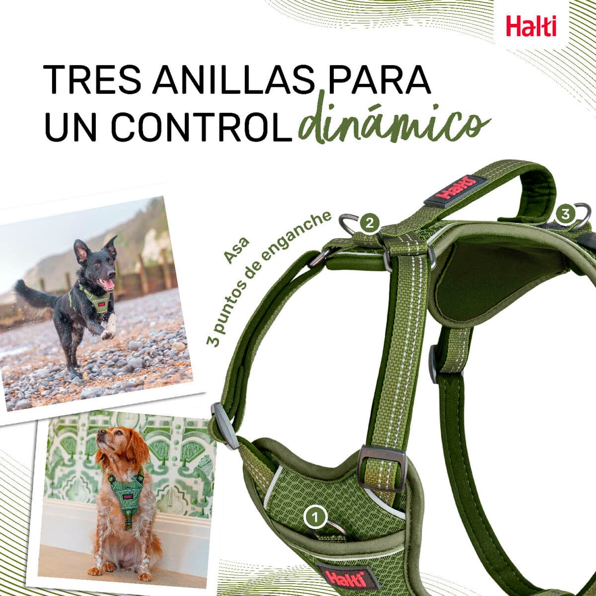 Arnés para Perro Company of Animals Verde L 42-65 cm - Image 3